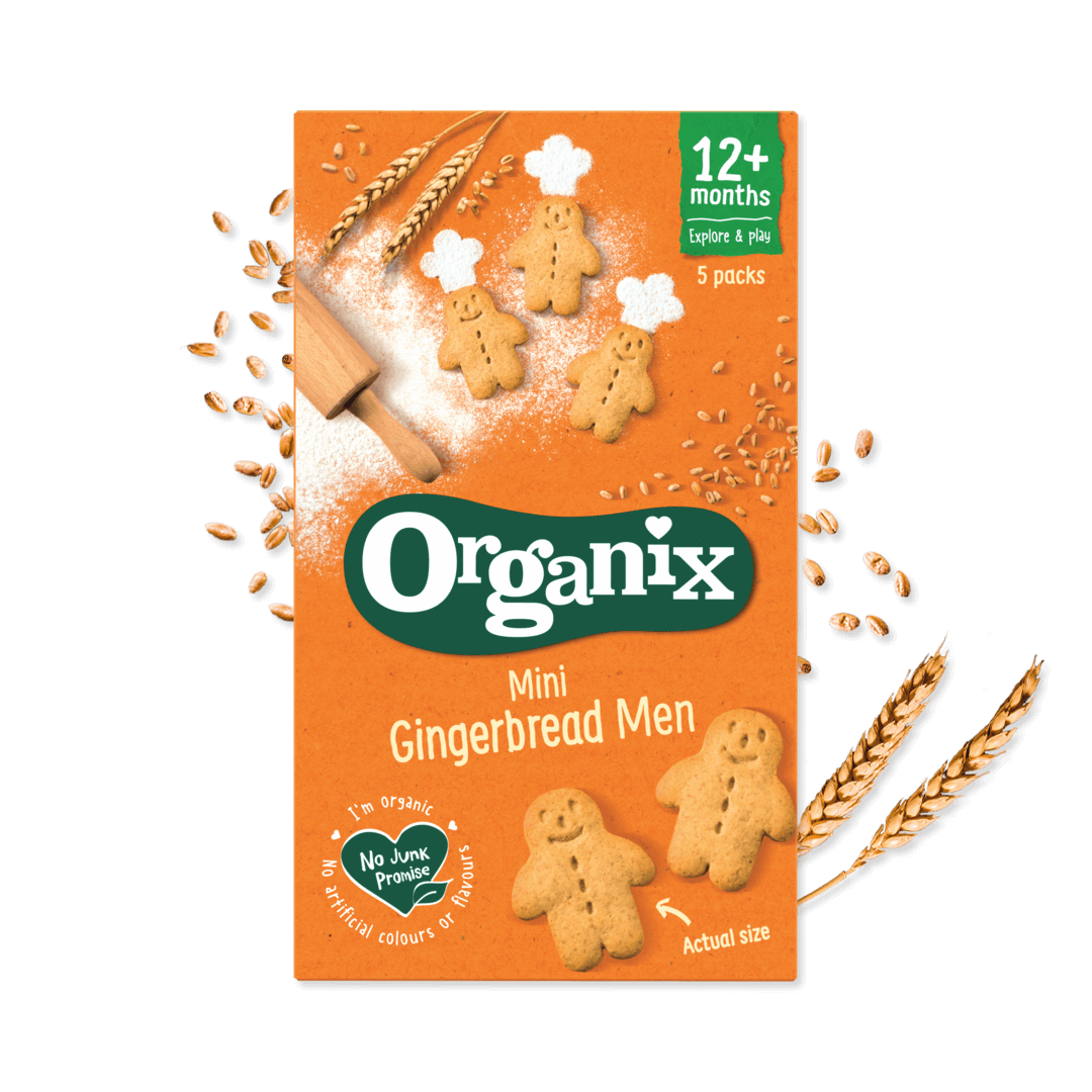 Case - Gingerbread Men Biscuits 4x(5x20g)
